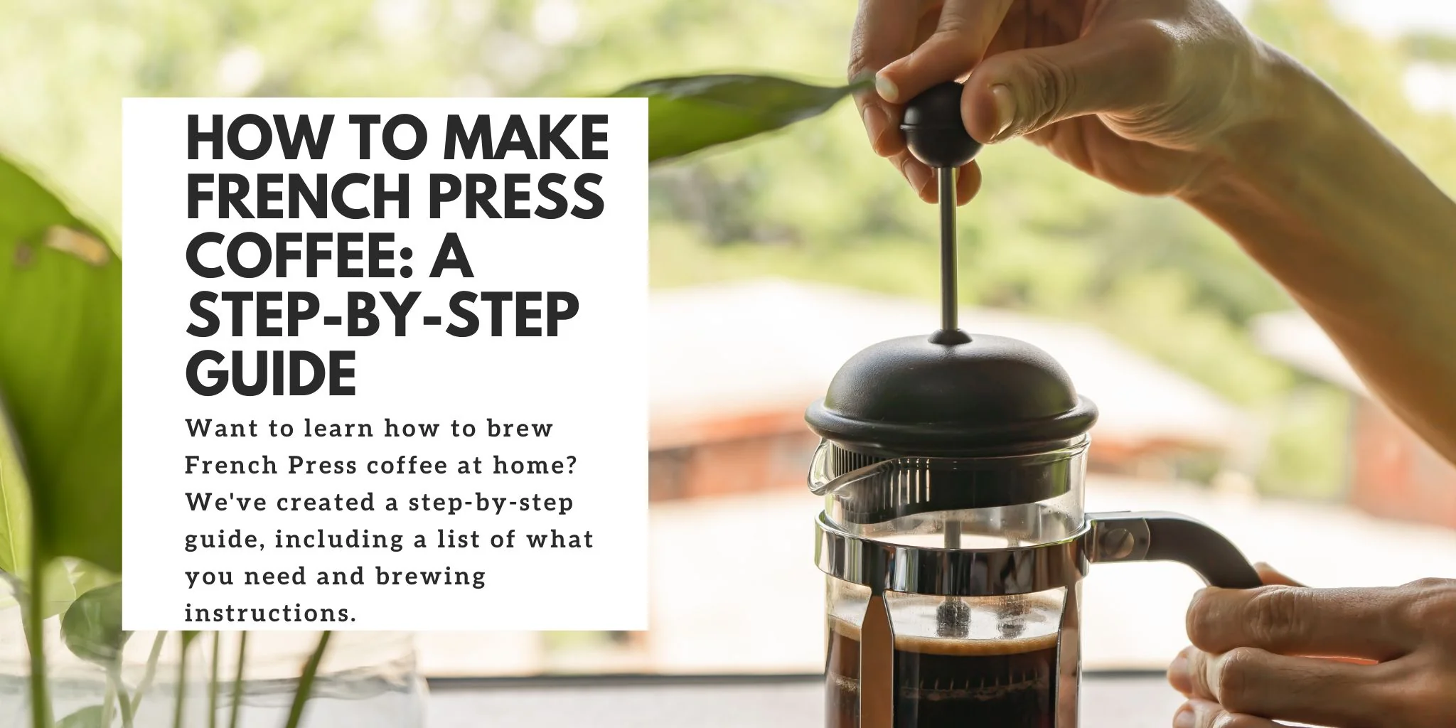 Step-by-step brewing guide for French press coffee