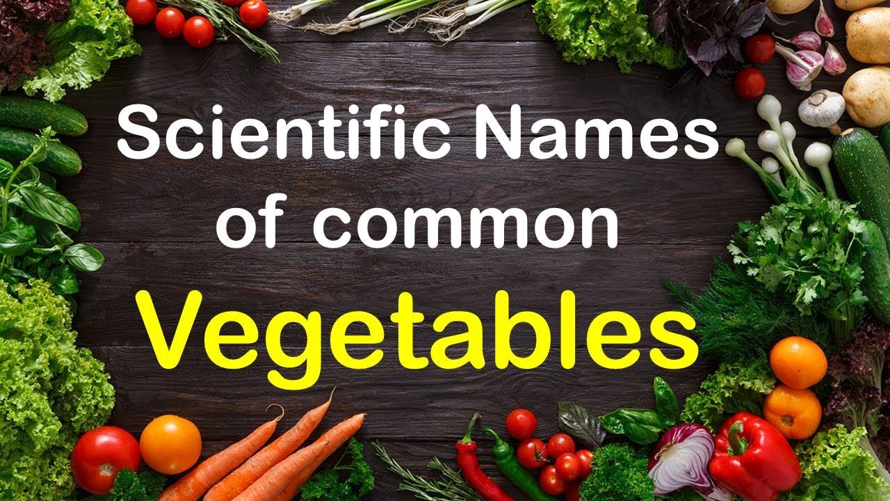 Vegetable Name